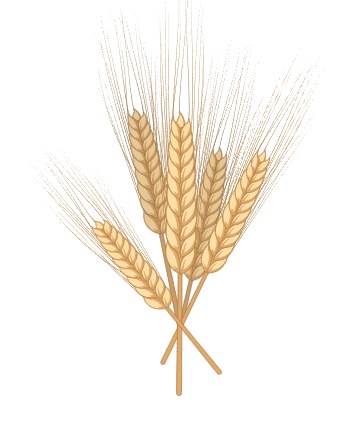 Grains & Cereals