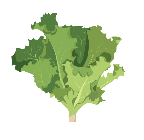 Vegetables